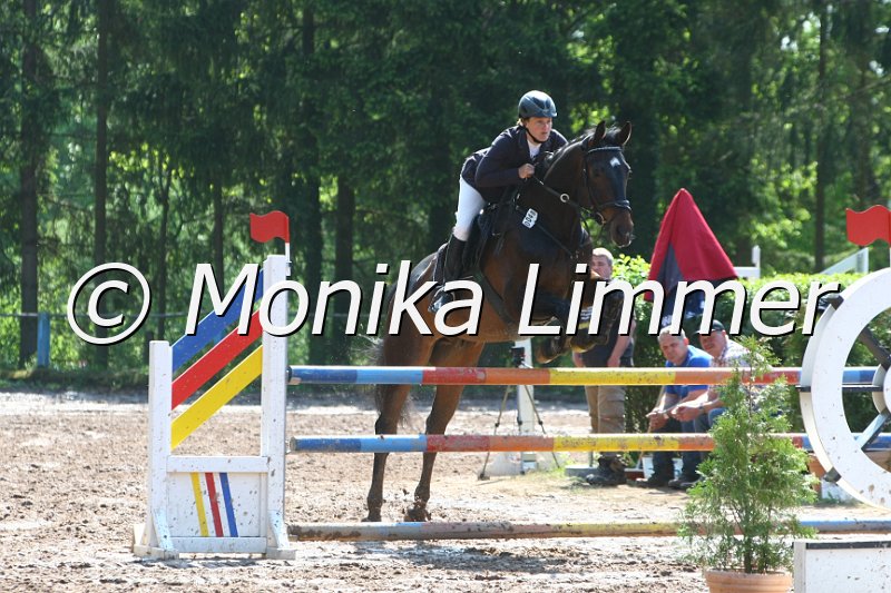 104M8041_Springpf L.JPG